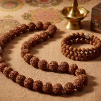 Rudraksha