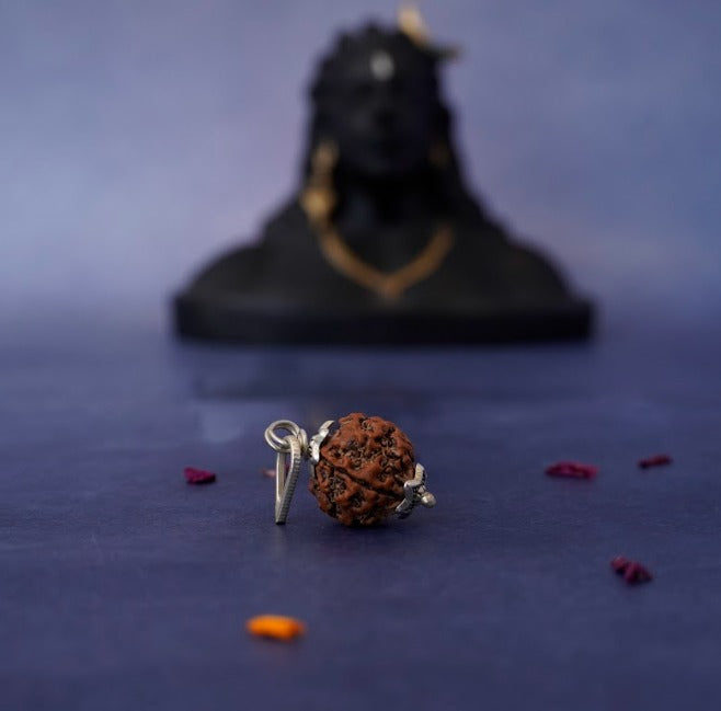 Nepali 4 Mukhi Rudraksha