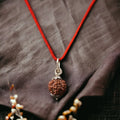 Nepali 7 mukhi Rudraksha