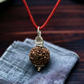 Nepali 6 Mukhi Rudraksha